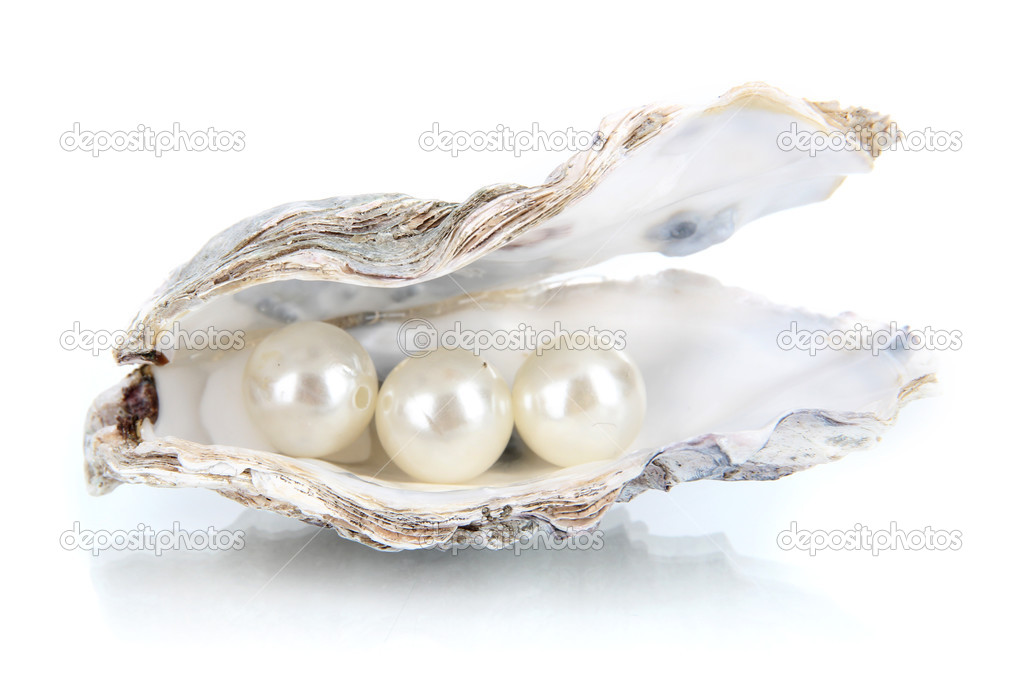 Open oyster with pearls — Stock Photo © belchonock 24586277