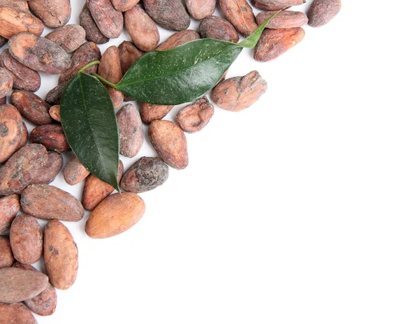 Kakaobohnen mit auf weiß isolierten Blättern — Stockfoto