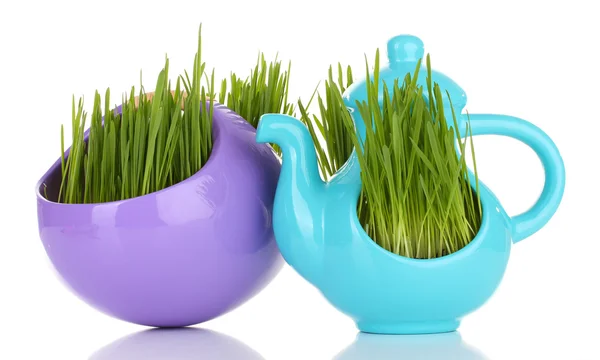 Green grass in decorative pot isolated on white — Stock Photo, Image