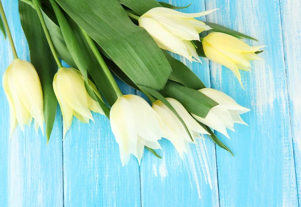 Beautiful white tulips on color wooden background — Stock Photo, Image