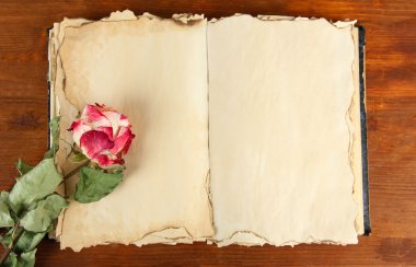 libro viejo abierto y rosa sobre fondo de madera