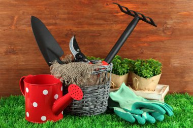 bahçede çimlerin üzerine Bahçe aletleri