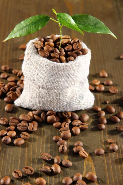 Sprout no café no saco na mesa de madeira — Fotografia de Stock