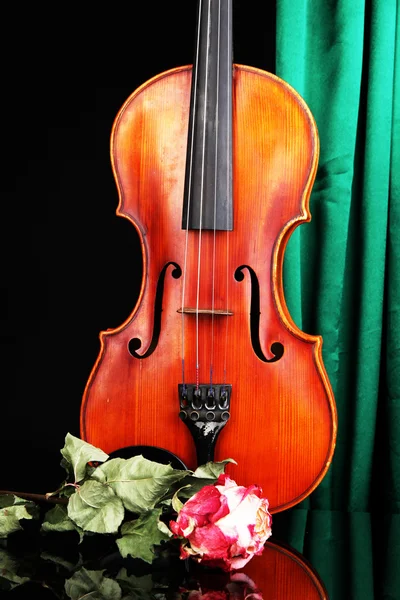 Classical violin on curtain background — Stock Photo, Image