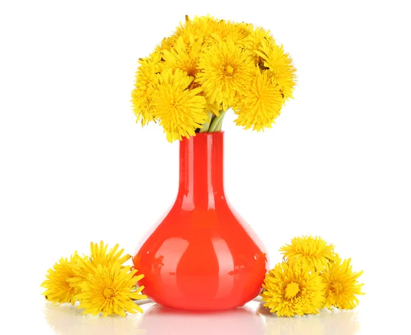 Dandelion flowers in vase isolated on white — Stock Photo, Image