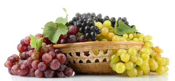 Assortment of ripe sweet grapes in basket, isolated on whit — Stock Photo, Image