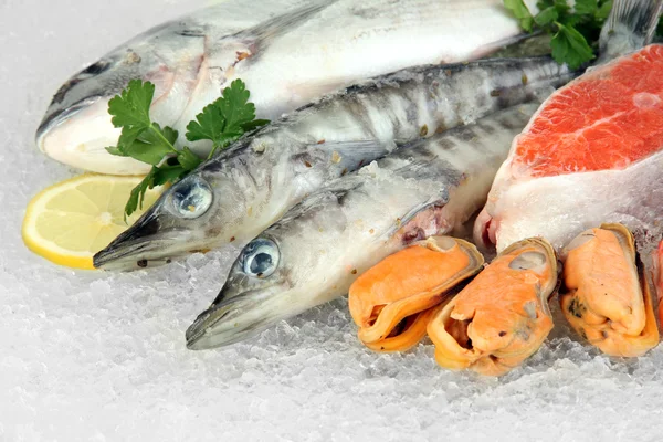 Fresh seafood on ice — Stock Photo, Image