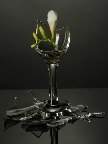 Bicchiere da vino rotto con fiore su sfondo grigio — Foto Stock