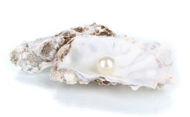 istiridye inci izole üzerinde beyaz ile açın