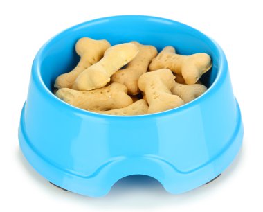 beyaz izole kase kuru köpek muamelesi yapıyor