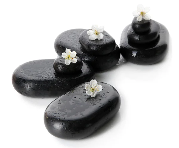 Piedras de spa y flores blancas aisladas en blanco —  Fotos de Stock