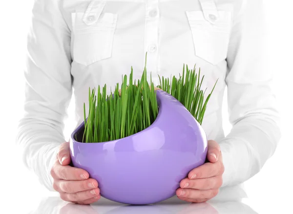 Green grass in decorative pot in hands isolated on white — Stock Photo, Image