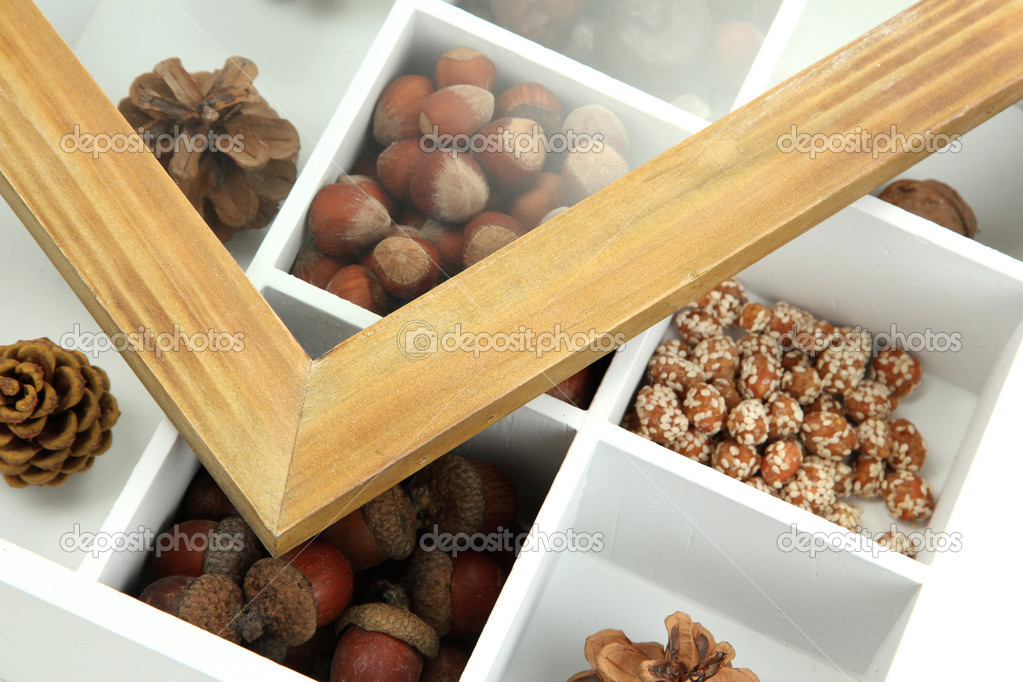 Assortment of nuts,chestnut, pinecone and acorn in white wooden box