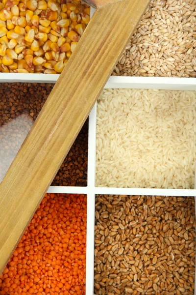 Surtido de cereales en caja de madera blanca de cerca —  Fotos de Stock