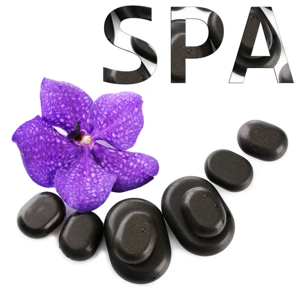 Spa stones and purple flower, isolated on white — Stock Photo, Image