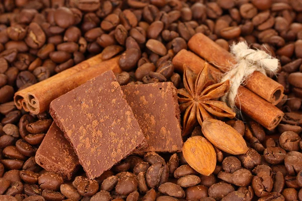 Chopped chocolate with cocoa, spices, on coffee beans background — Stock Photo, Image