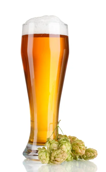 Cerveza en un vaso y lúpulo verde aislado en blanco — Foto de Stock