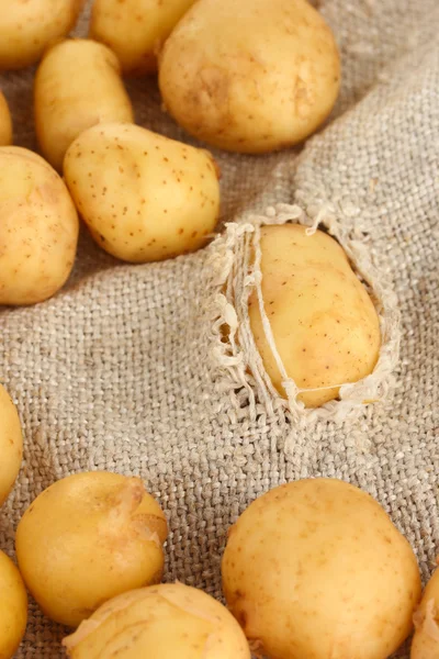 Patatas en un primer plano de saco roto — Foto de Stock