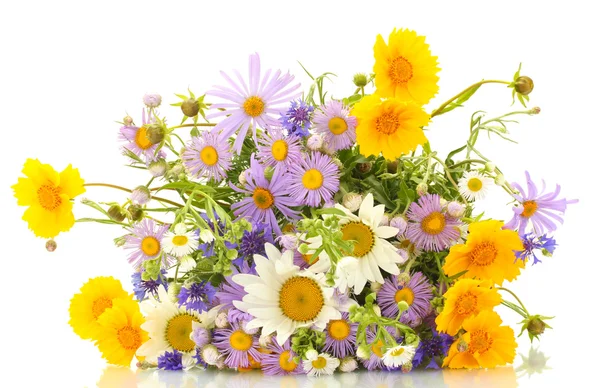 Beautiful bouquet of bright wildflowers, isolated on white — Stock Photo, Image