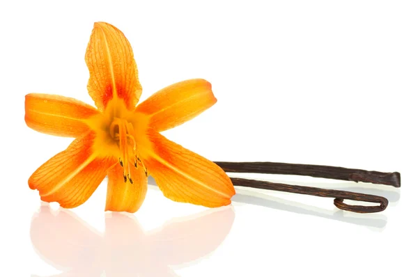 Vanilla pods with flower isolated on white — Stock Photo, Image