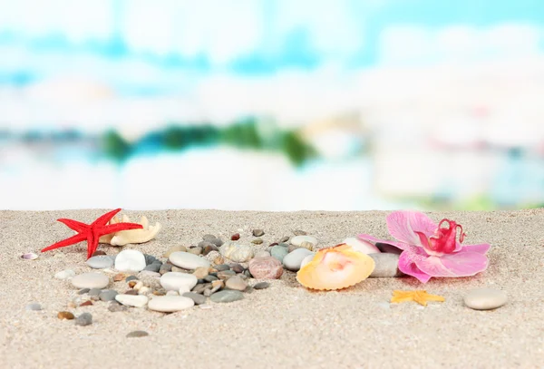 Steine im Sand auf dem Meeresgrund — Stockfoto