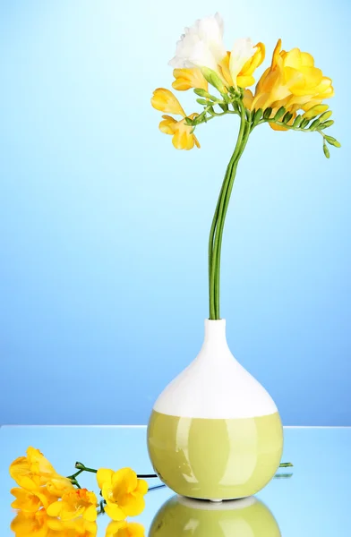 Beautiful bouquet of freesia in vase on blue background — Stock Photo, Image