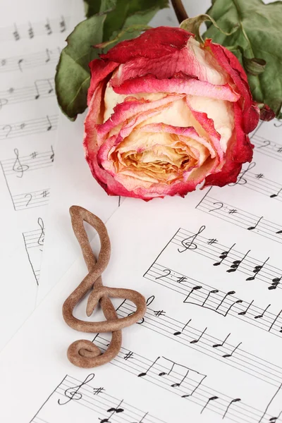 Houslový klíč a růže na hudební pozadí — Stock fotografie