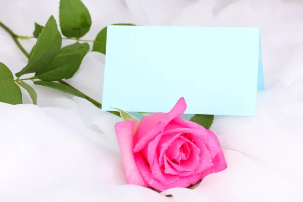Belle rose sur tissu blanc — Photo