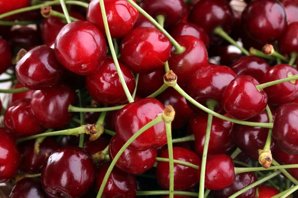 Ripe cherry berries close-up — Stock Photo, Image