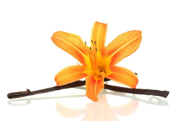 Vanilla pods with flower isolated on white — Stock Photo, Image