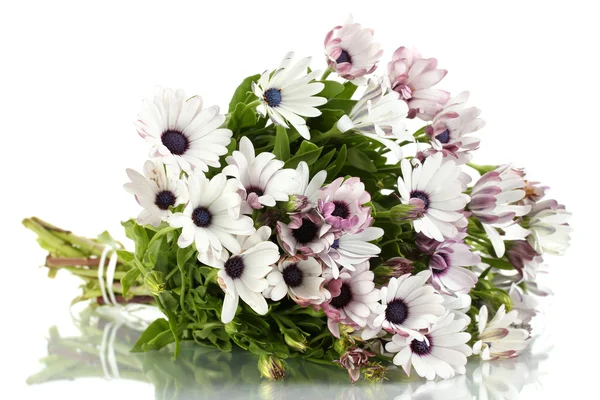 Bouquet de belles fleurs d'été, isolé sur blanc — Photo