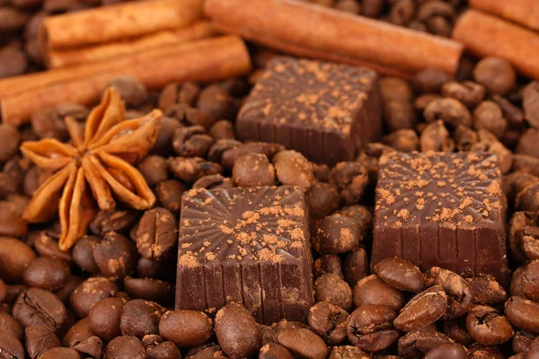 Chocolate sweets with cocoa,spices and nuts, on coffee beans background — Stock Photo, Image