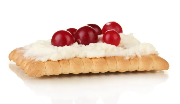 Galleta con queso y arándano, aislada sobre blanco — Foto de Stock