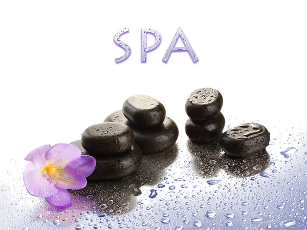 Spa stones and purple flower, isolated on white — Stock Photo, Image