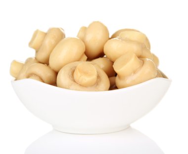 beyaz izole kase mantar