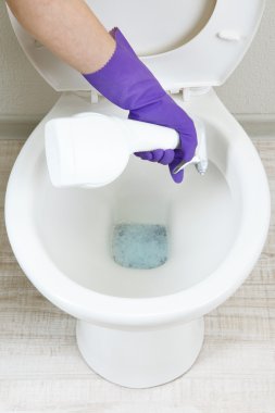 kadın el ile bir banyo klozet Temizleme sprey şişe