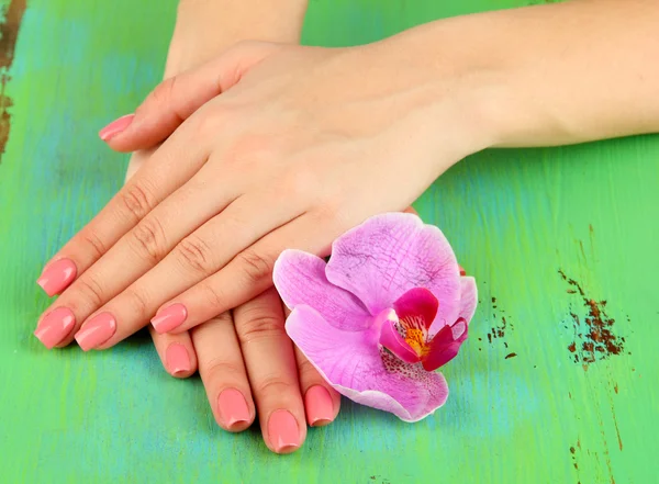 Kobieta ręce z różowy manicure i orchidea na kolor tła — Zdjęcie stockowe