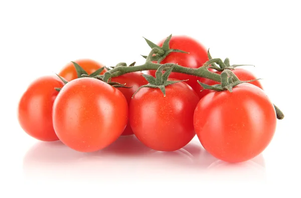 Pomodori ciliegia su un ramo isolato su bianco — Foto Stock