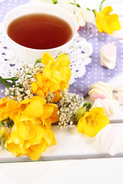 Beautiful composition with cup of tea and marshmallow on wooden picnic table close-up — Stock Photo, Image