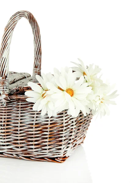 Picnic basket with flowers, isolated on white — Stock Photo, Image