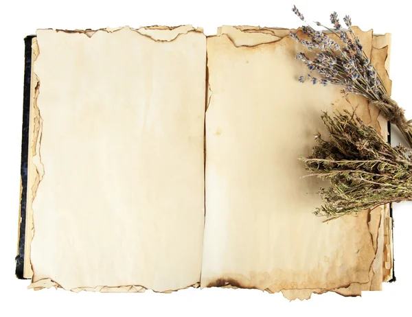 Open oud boek en lavendel geïsoleerd op wit — Stockfoto