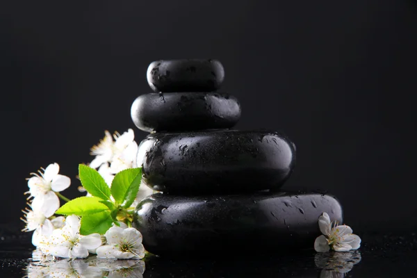 Wellness kameny a bílé květy izolovaných na černém — Stock fotografie
