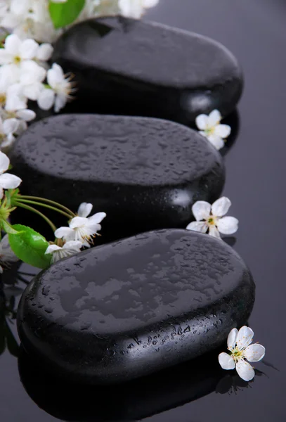 Piedras de spa y flores blancas sobre fondo oscuro — Foto de Stock