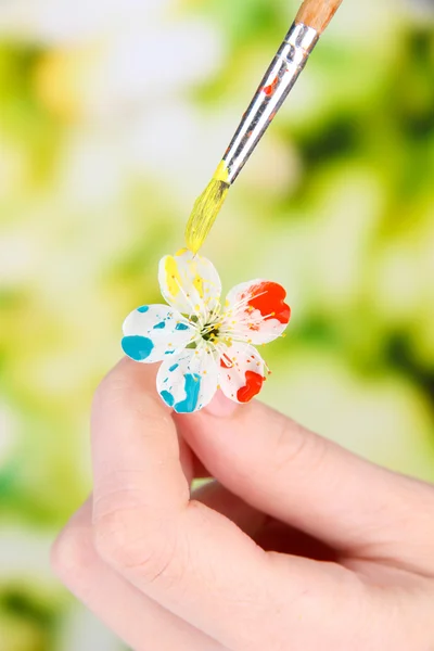 Female hands holding white flower and paint it with colors, on bright background — Stock Photo, Image