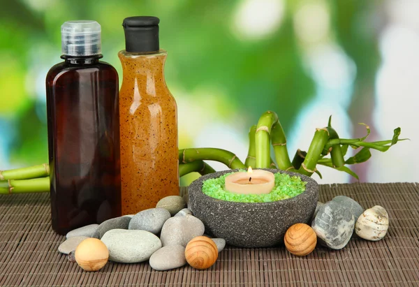 Still life with green bamboo plant and stones, on bamboo mat, on bright background — Stock Photo, Image