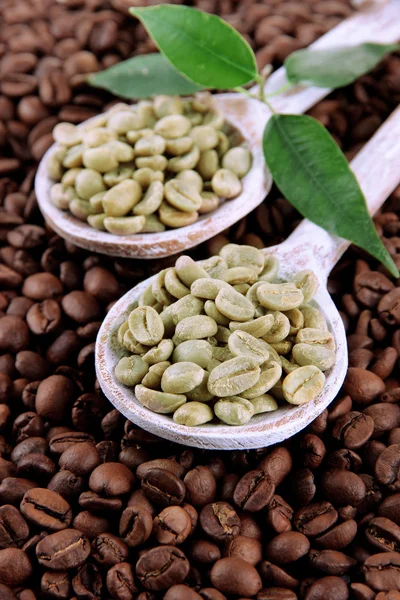 Groen en bruin koffie bonen met bladeren — Stockfoto
