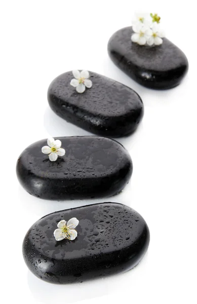 Wellness-Steine und weiße Blumen isoliert auf weiß — Stockfoto