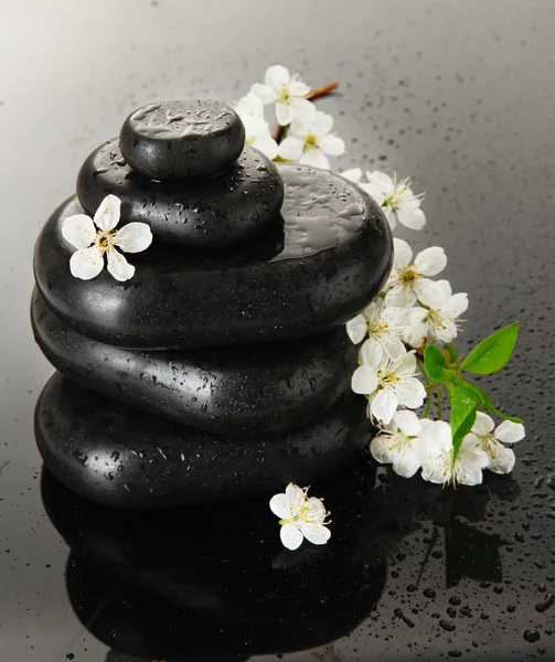 Piedras de spa y flores blancas sobre fondo oscuro —  Fotos de Stock