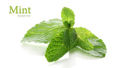 Beyazda izole edilmiş nane