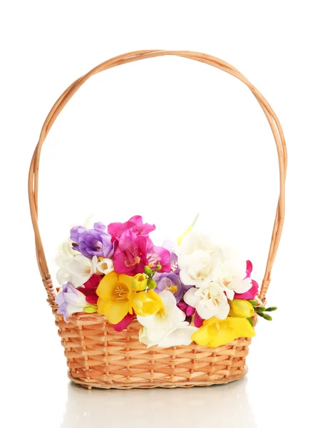 Beautiful bouquet of freesias in basket, isolated on white — Stock Photo, Image